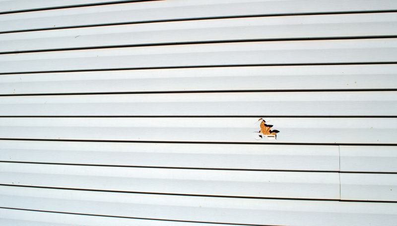 Siding Repair Projects